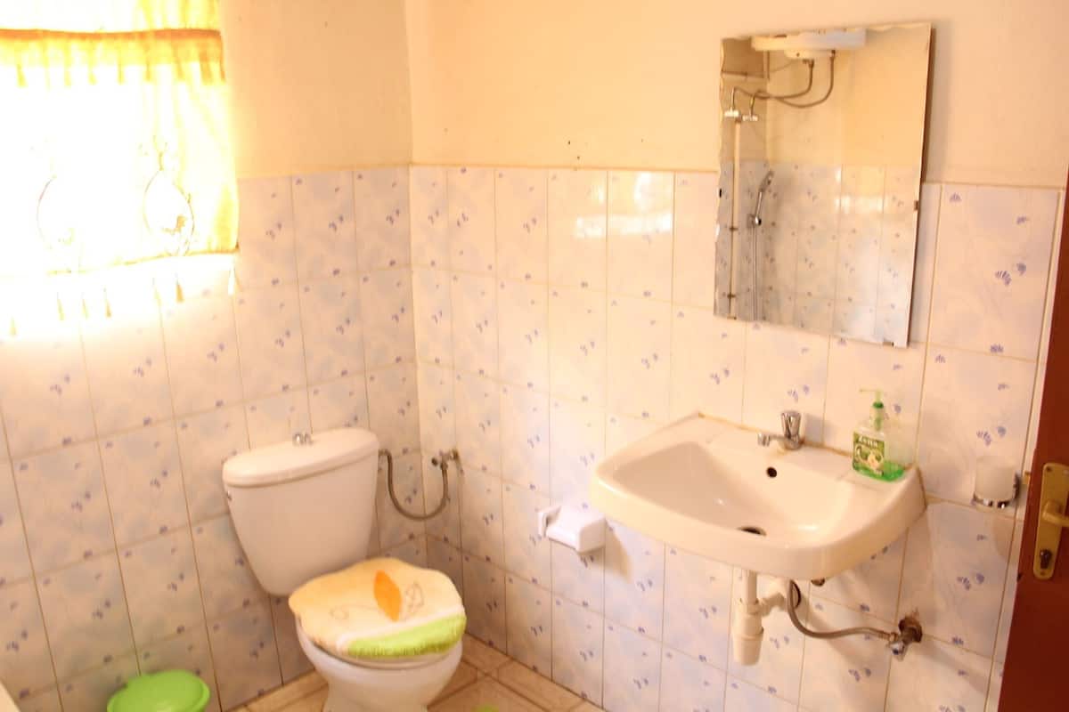 standard double room, 1 double bed | bathroom | shower, free toiletries, hair dryer, slippers