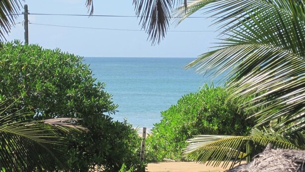 Vista costeira com vegetação tropical densa e céu claro.