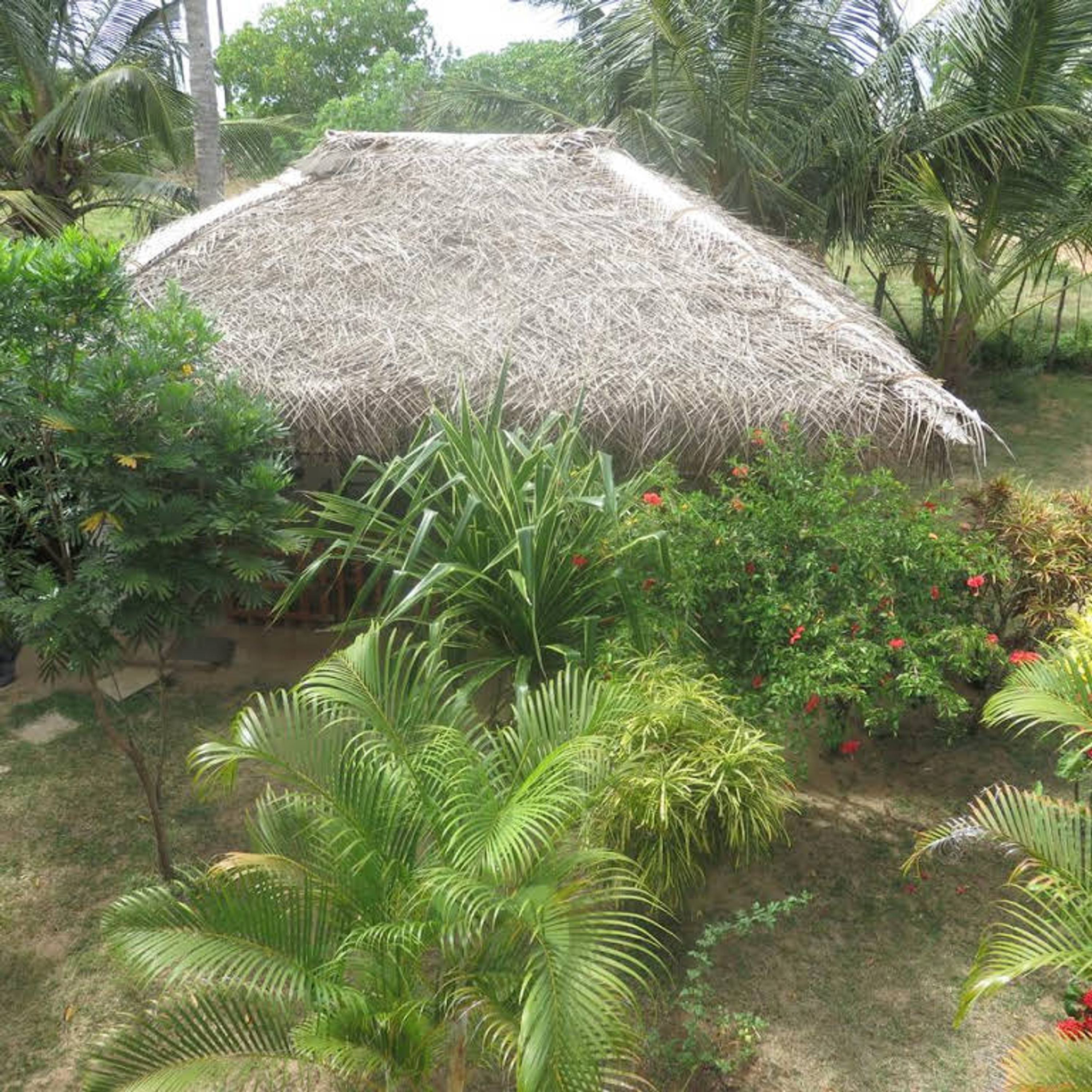 A thatched-roof structure surrounded by lush greenery and flowering plants.
