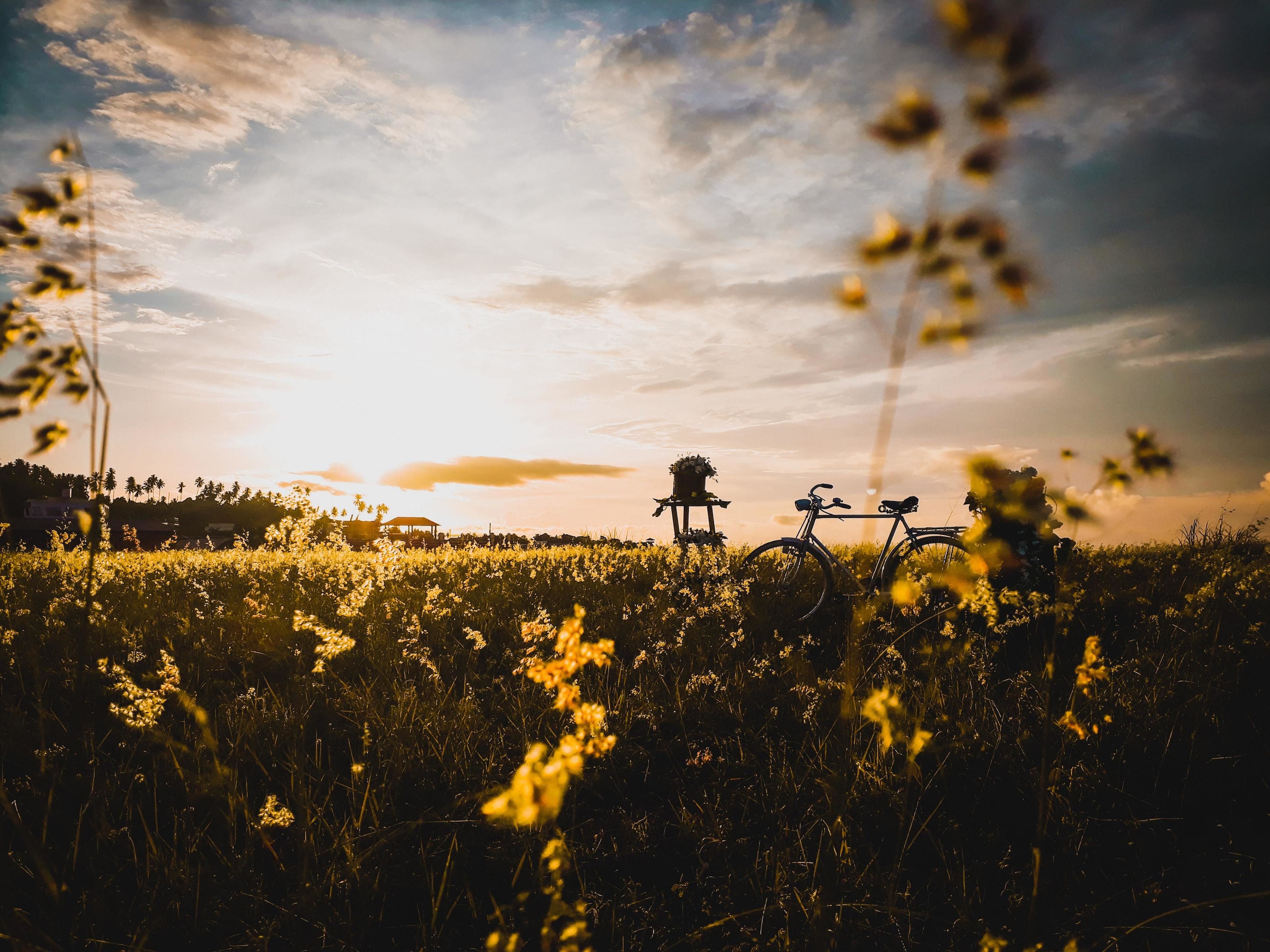 A bicycle in a field with a structure in the background.