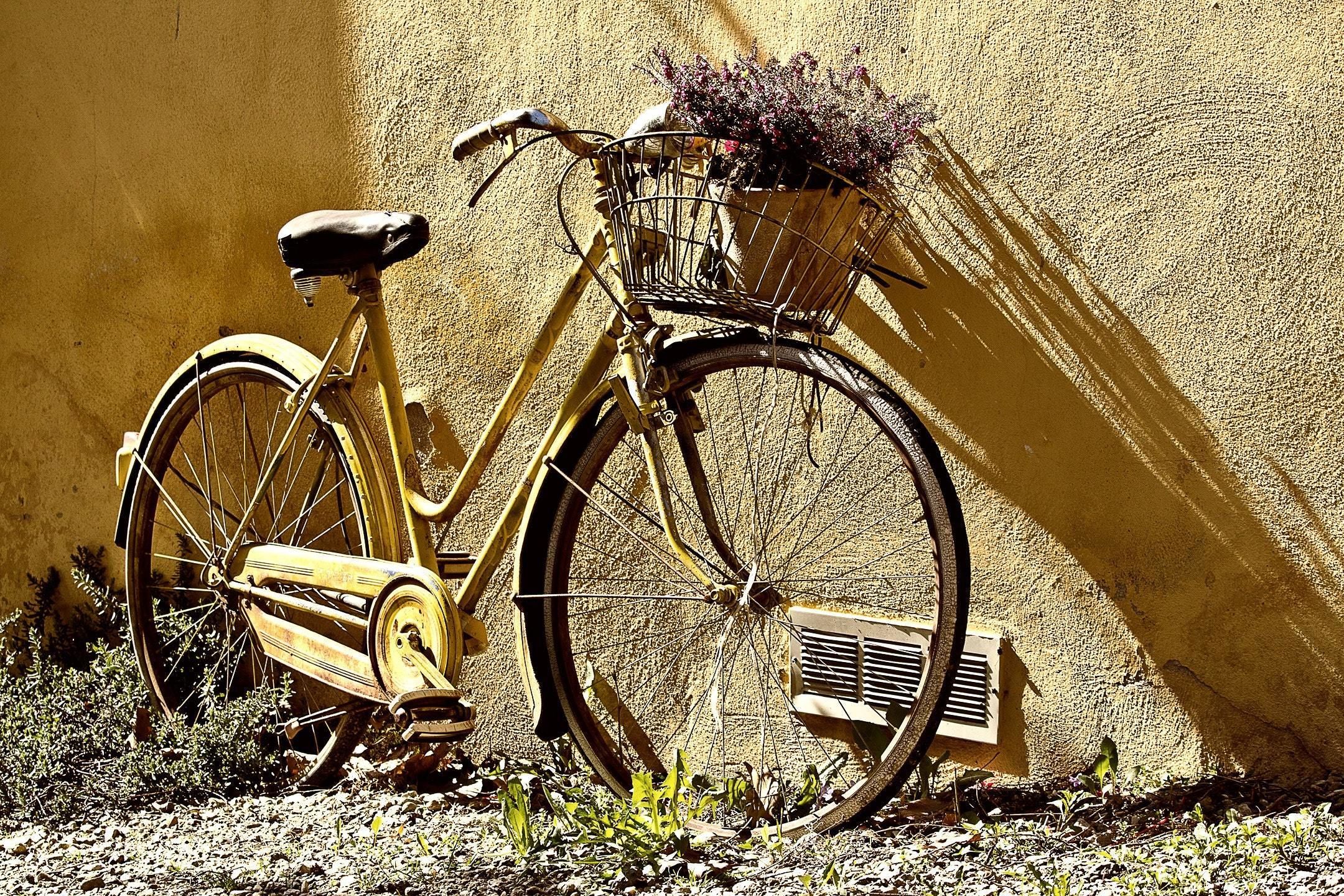A vintage bicycle with a basket and a plant, parked against a textured wall.