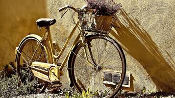 A vintage bicycle with a basket and a plant, parked against a textured wall.