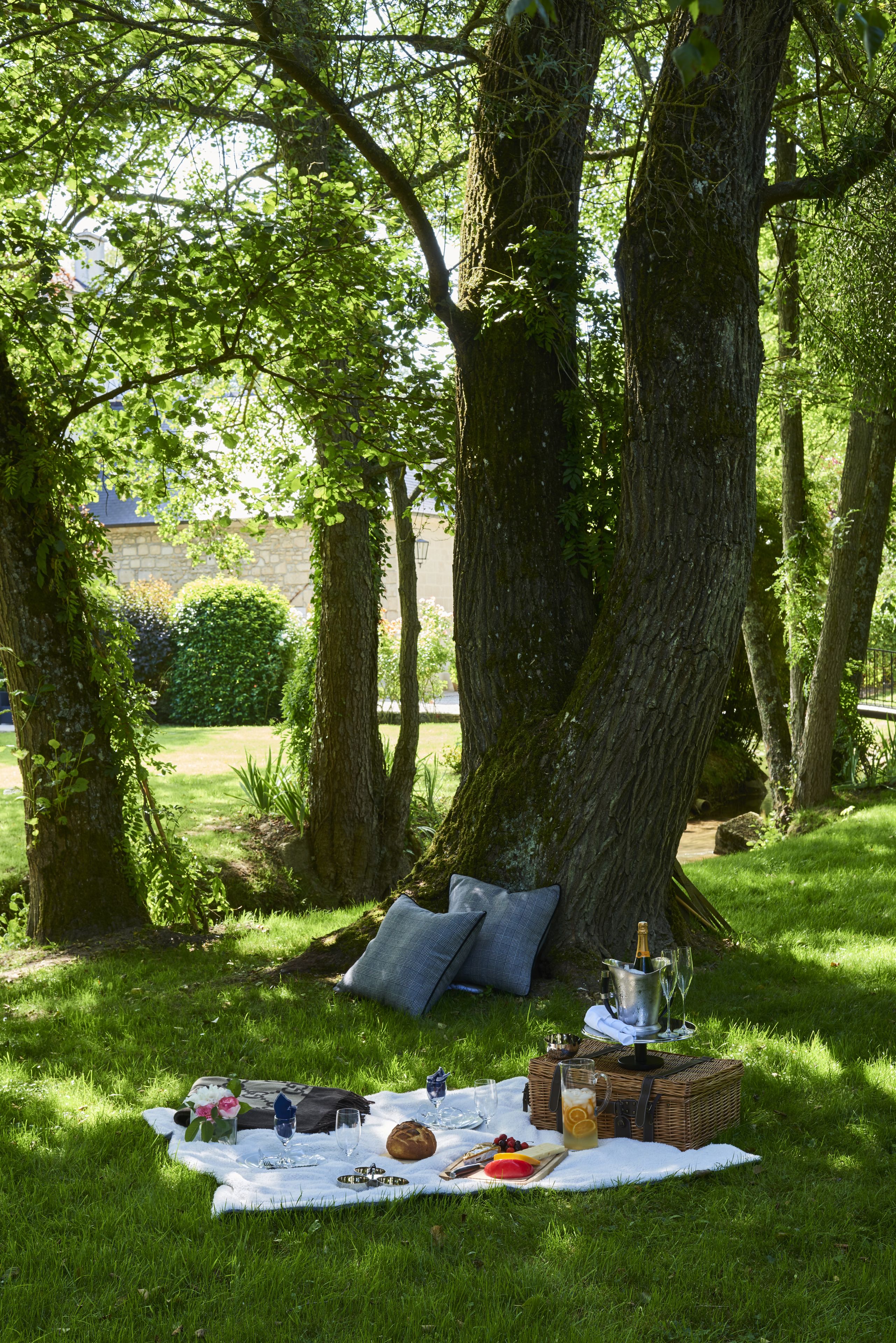 Un montaje para picnic con una manta, comida, bebidas y una botella de champán bajo un árbol grande en una zona de césped.