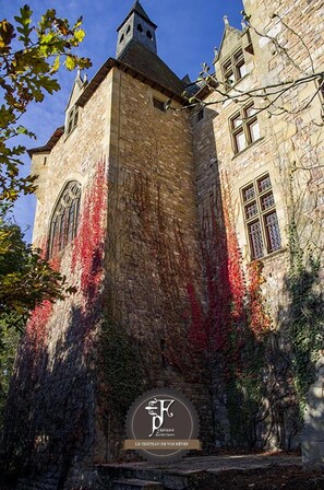 Front of property - Château de Peufeilhoux (Vallon-en-Sully)
