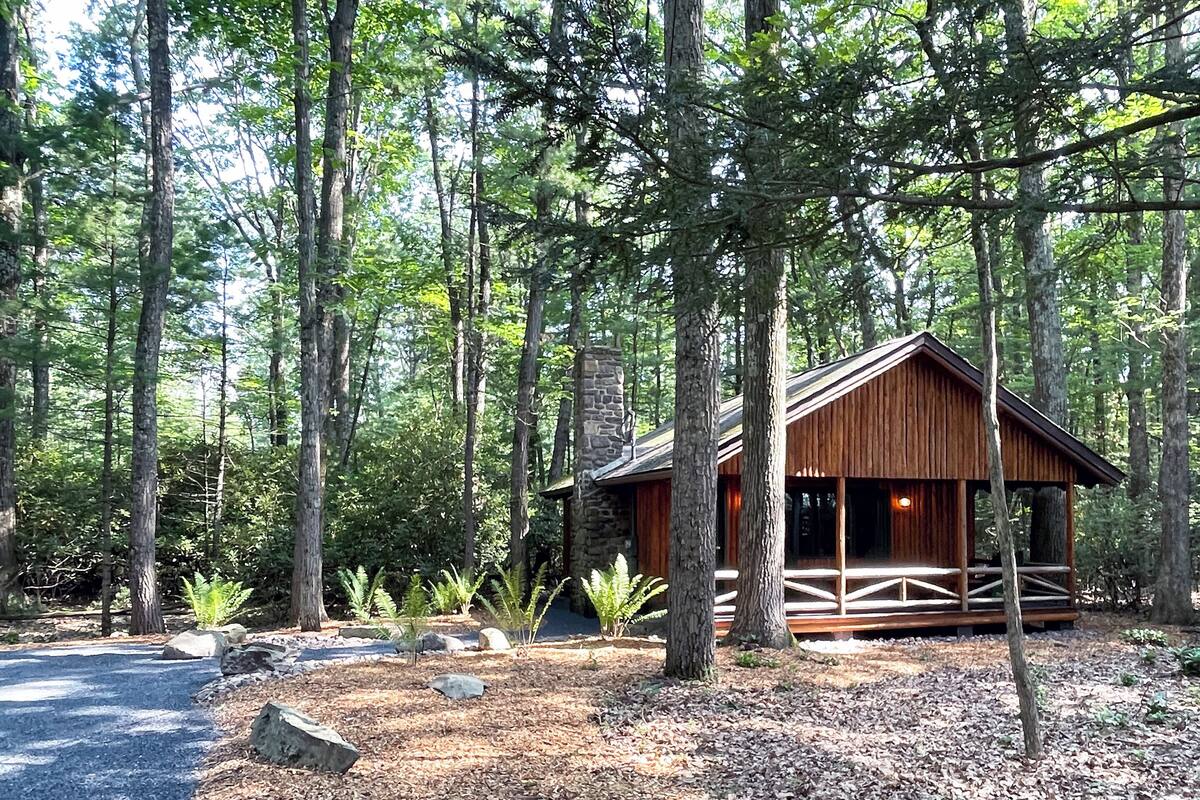 A rustic cabin surrounded by tall trees in a forest.