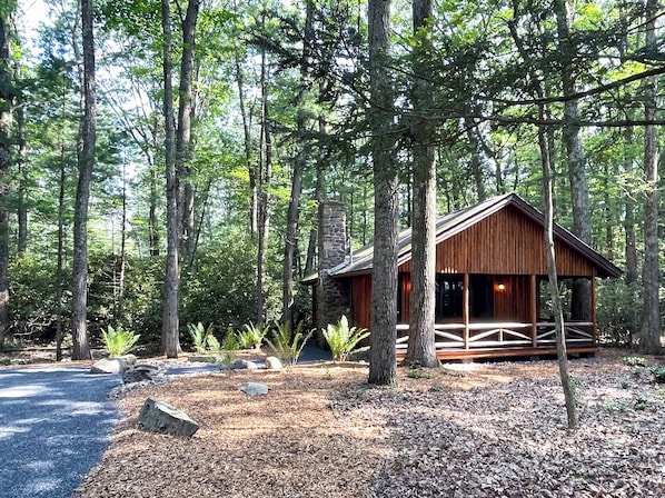 Una cabaña rústica rodeada de árboles altos en un bosque.