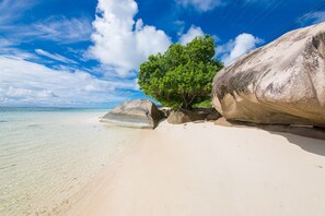 Una playa con agua turquesa cristalina, una gran formación rocosa y un árbol.