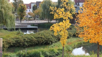 Un parc avec un étang, des arbres et un pont.