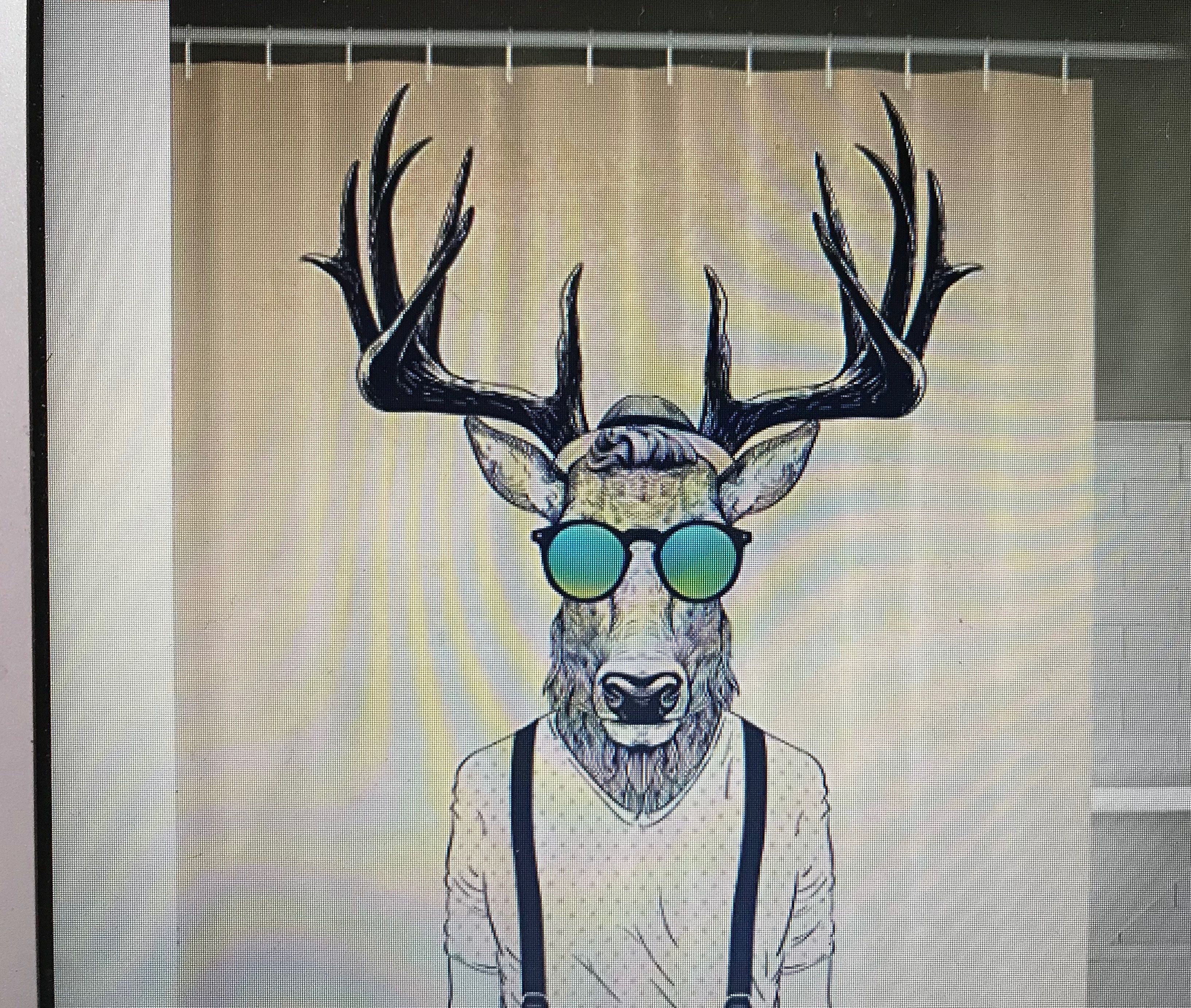 duplex, 1 double bed with sofa bed, non smoking | bathroom shower