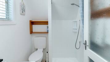 A bathroom with a toilet, a shower, and a glass door.