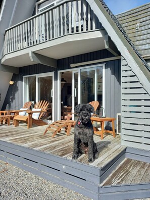 A wooden deck with outdoor furniture, a dog, and a sliding glass door leading to an interior space. - The house for all seasons, occasions and ages. Perfect for families! (Greytown)