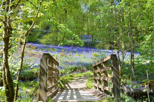 Quiet village location in beautiful valley close to Dunoon, Argyll. Sleeps 2, pet friendly