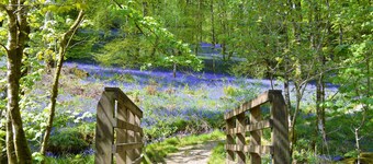 Rolig landsby beliggenhet i vakre dalen nær Dunoon, Argyll. Soveplass til 2, kjæledyr vennlig