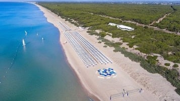 Lettini da mare