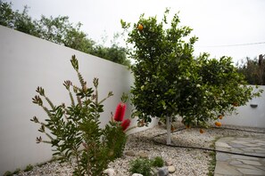 Stroll through this tranquil garden, surrounded by lush greenery and vibrant flowers.