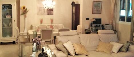 TV, DVD player, books, music library