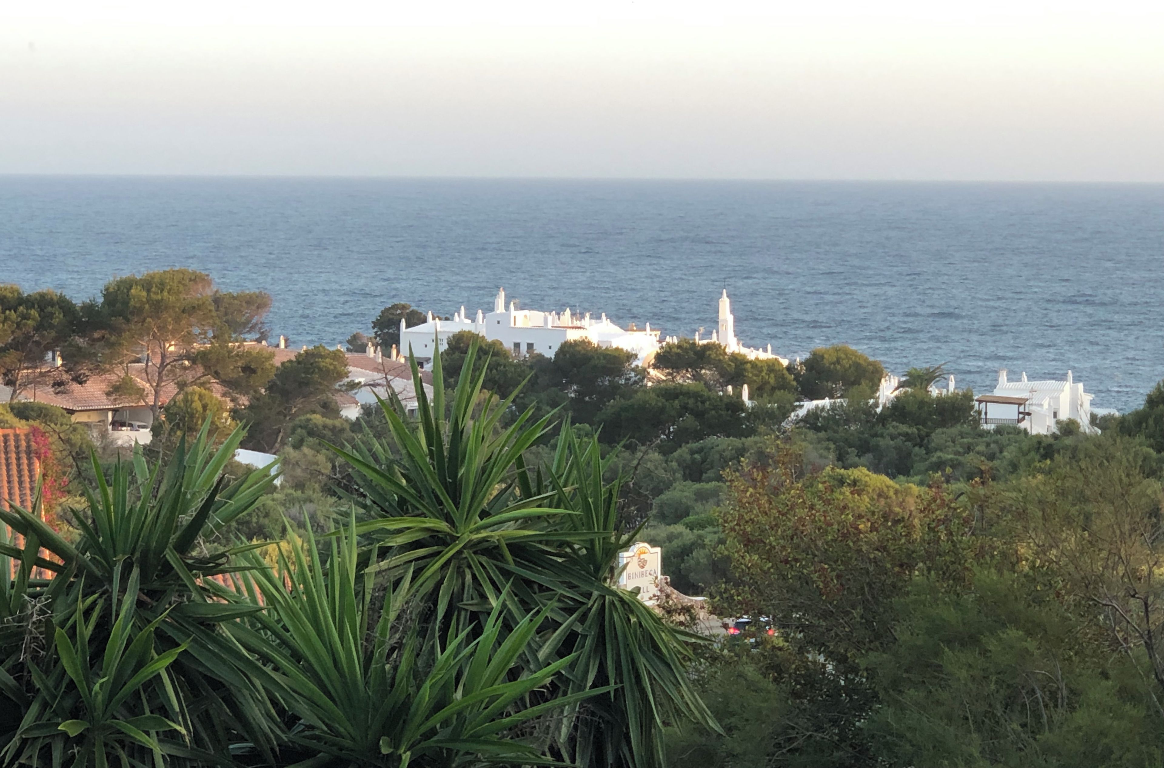 A coastal view with white buildings and a sea in the background.