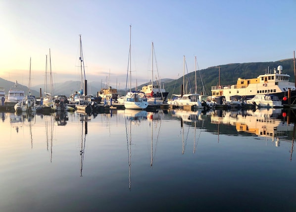 A marina with various boats docked, calm water, and a hilly landscape in the background.