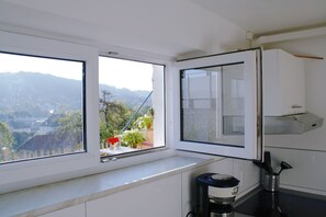 Fridge, oven, stovetop, coffee/tea maker