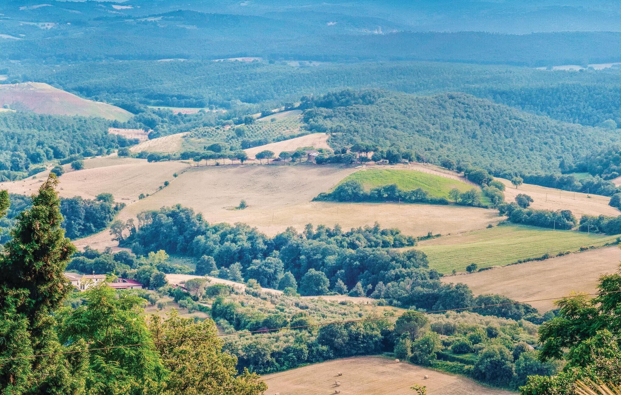 A panoramic view of a rural landscape with rolling hills, scattered trees, and fields.
