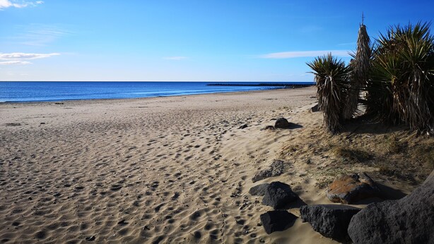 Ein Sandstrand mit klarem, blauem Wasser, einigen Felsen und vereinzelter Vegetation.