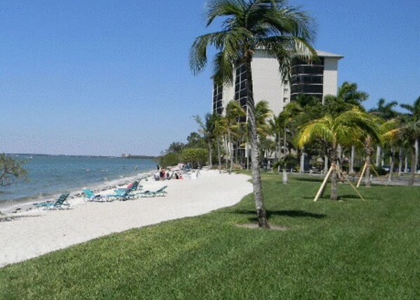 A beach with palm trees, a white building, and a clear blue sky.