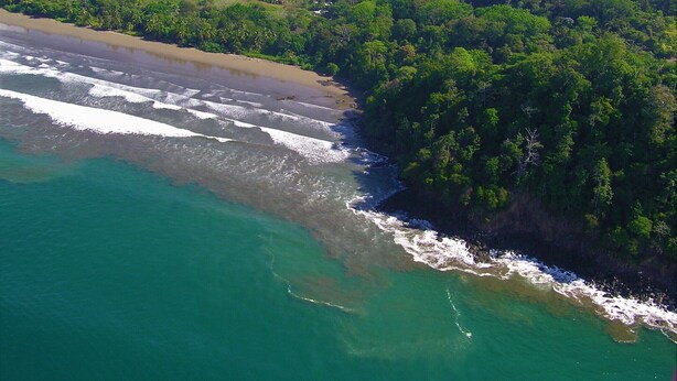 Vue aérienne d’une zone côtière avec une plage et une forêt dense.