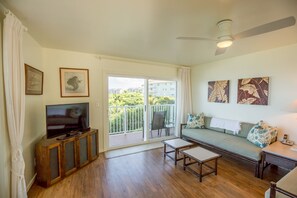 TV, DVD player, books, music library