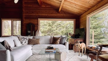 Smart TV, chimenea, libros y estéreo