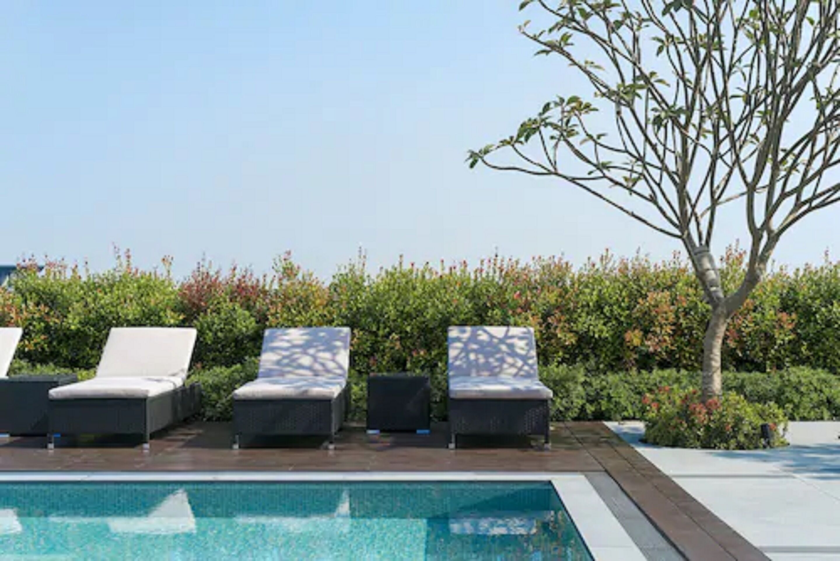 outdoor pool, pool loungers