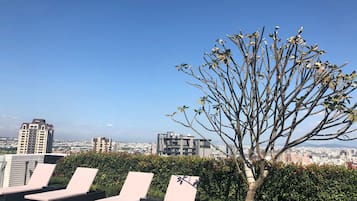 Outdoor pool, sun loungers