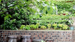 A brick planter box with various potted plants and large ceramic pots. - Photo Park Guesthouse (Seoul)
