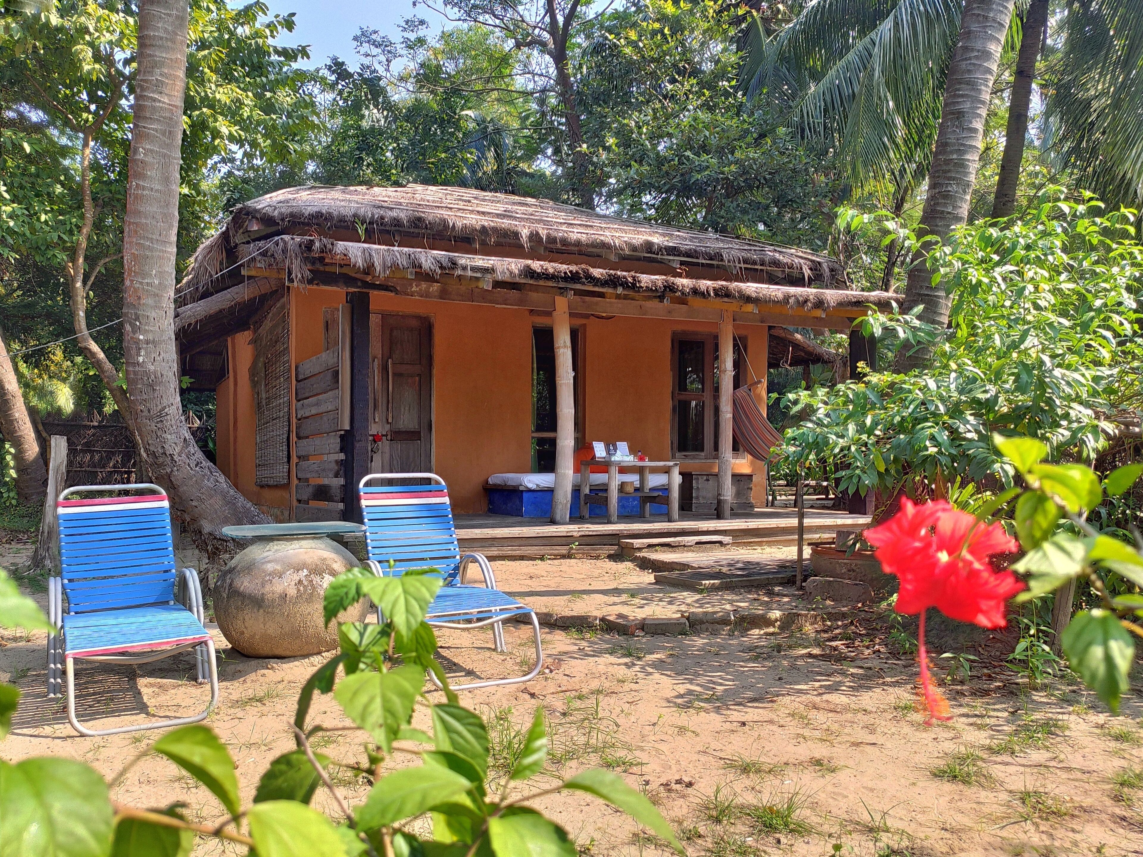 A rustic hut with a thatched roof, surrounded by trees and greenery. There are two blue metal chairs and a large pot near the hut.