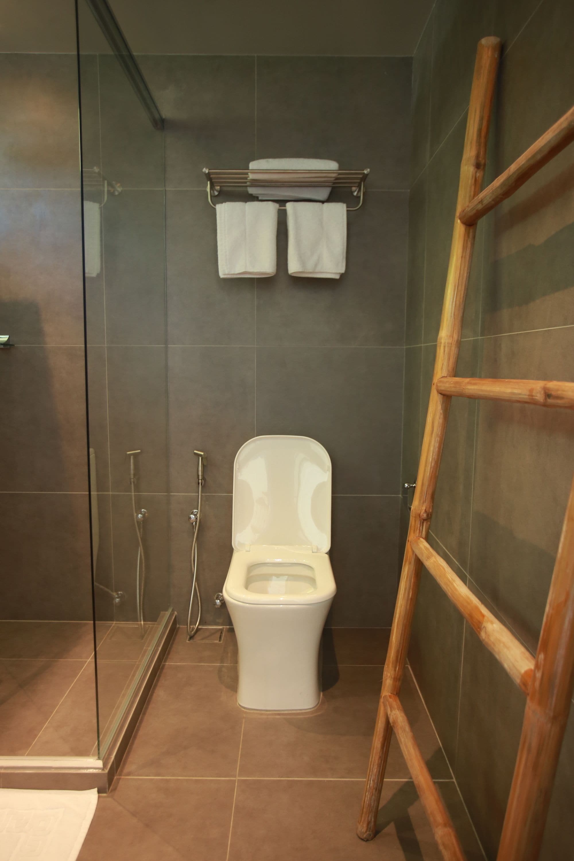 A modern bathroom with a glass shower enclosure, a toilet, and a wooden ladder.