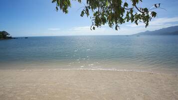Una playa con aguas cristalinas y una orilla arenosa.