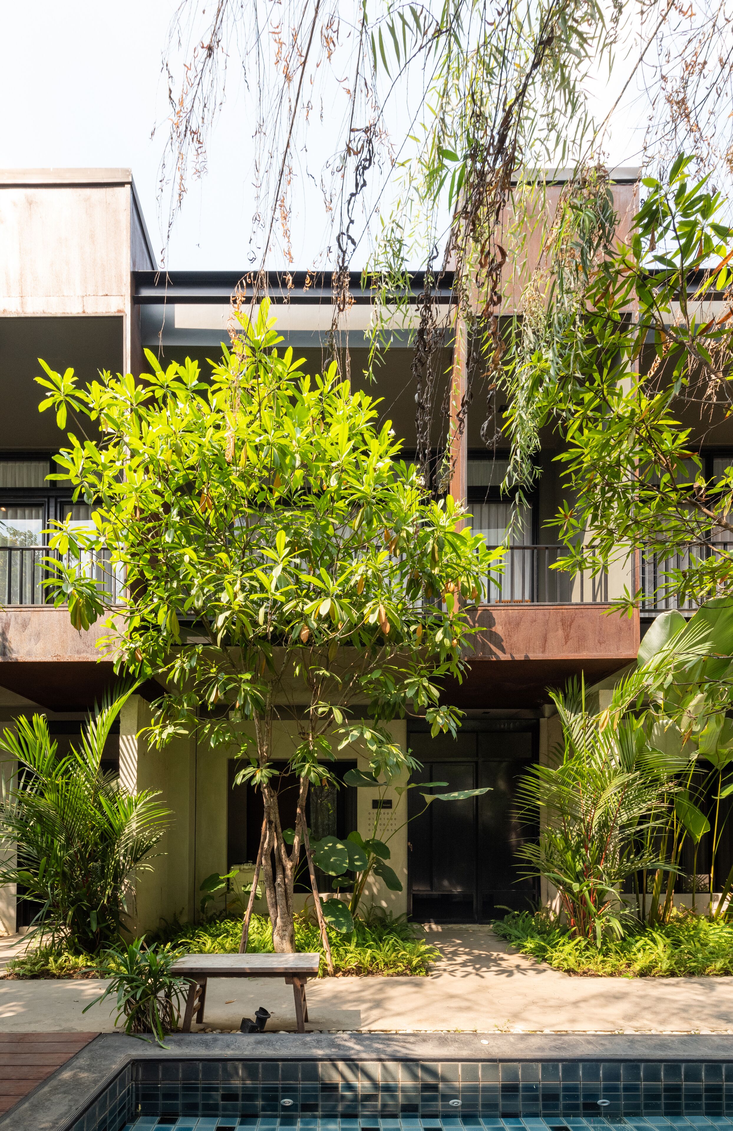 Vue sur le jardin