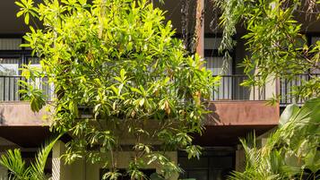Vue sur le jardin