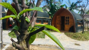 A tree with green leaves in the foreground, a wooden structure with a curved roof in the background, and a clear blue sky. - CoCo Farm Hoi An (Da Nang)