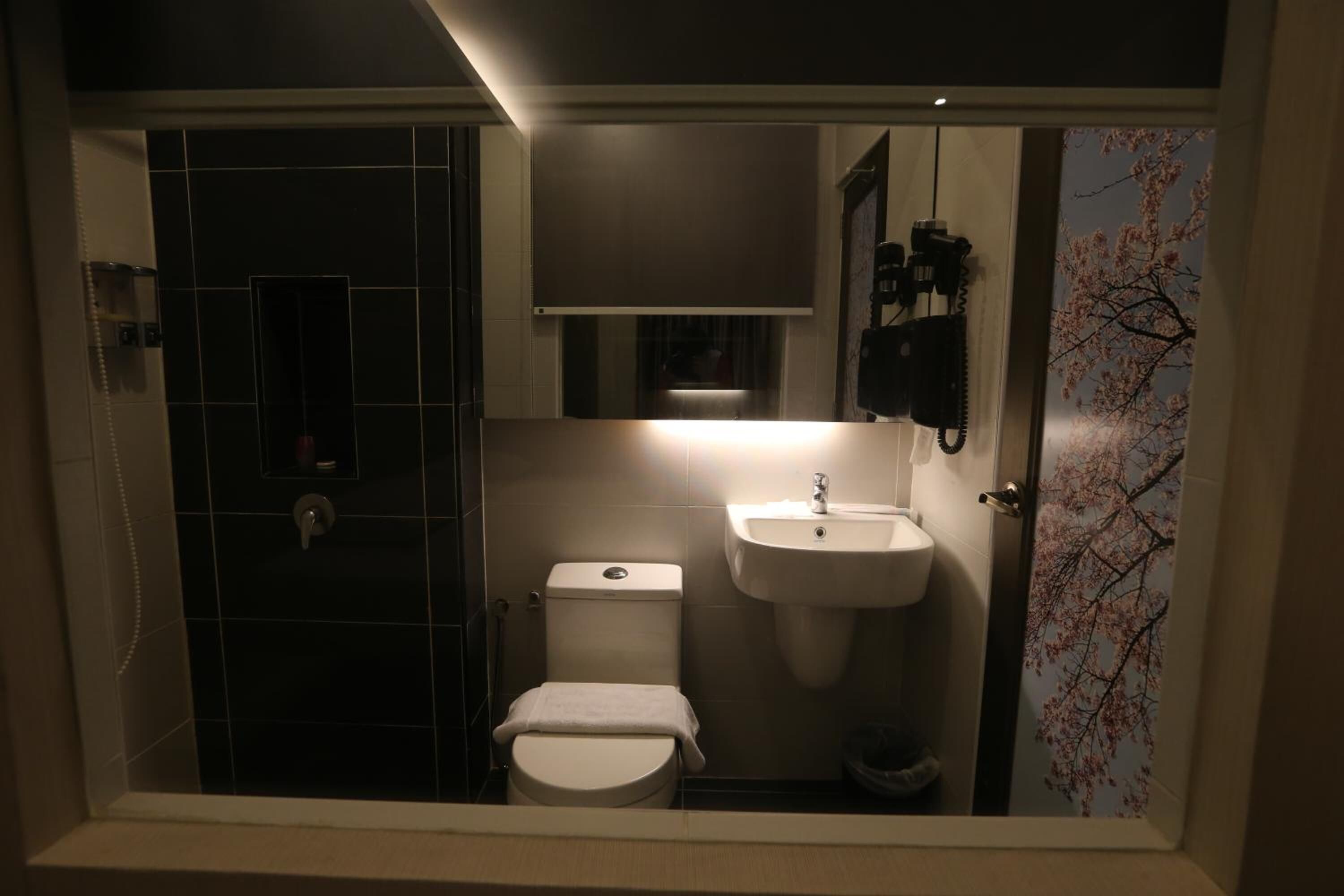 Shower, bidet, towels