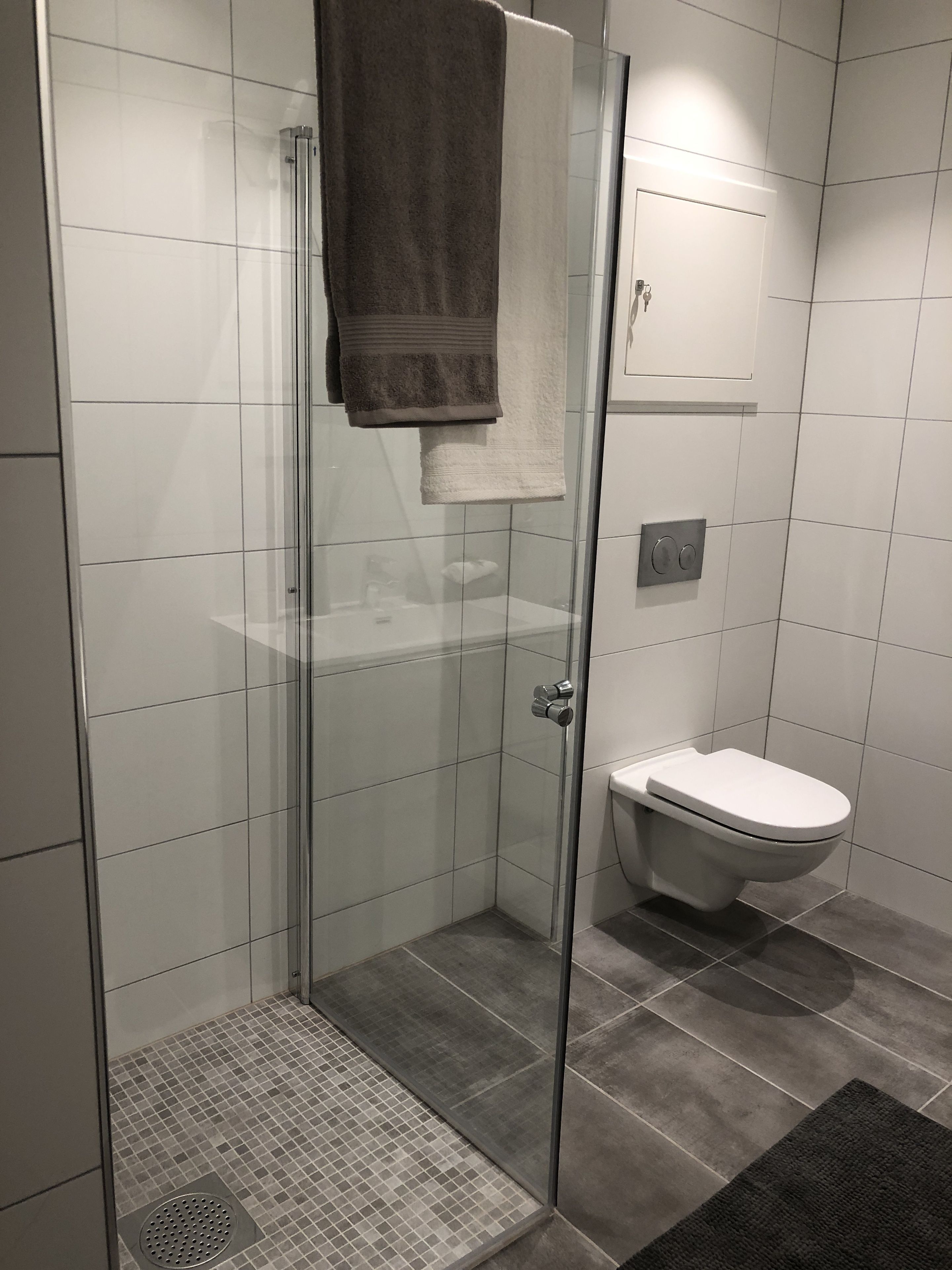 Royal Apartment, 1 King Bed with Sofa bed, Accessible, Non Smoking | Bathroom shower