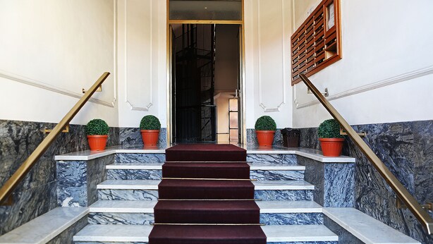 A marble staircase with red carpet, flanked by potted plants and a wooden door at the top.
