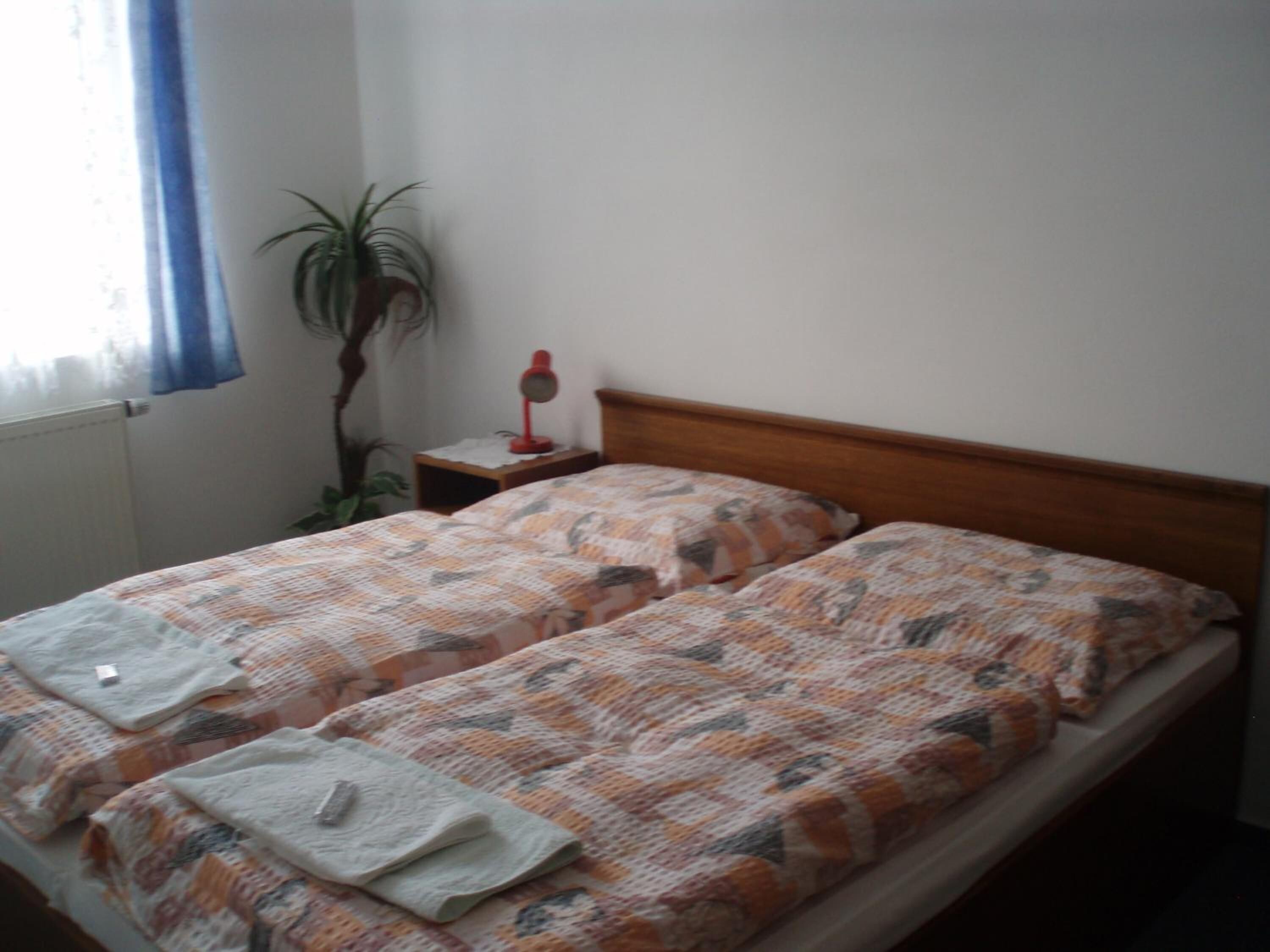 Una cama doble con ropa de cama estampada, una mesita de noche con lámpara y una planta en maceta.
