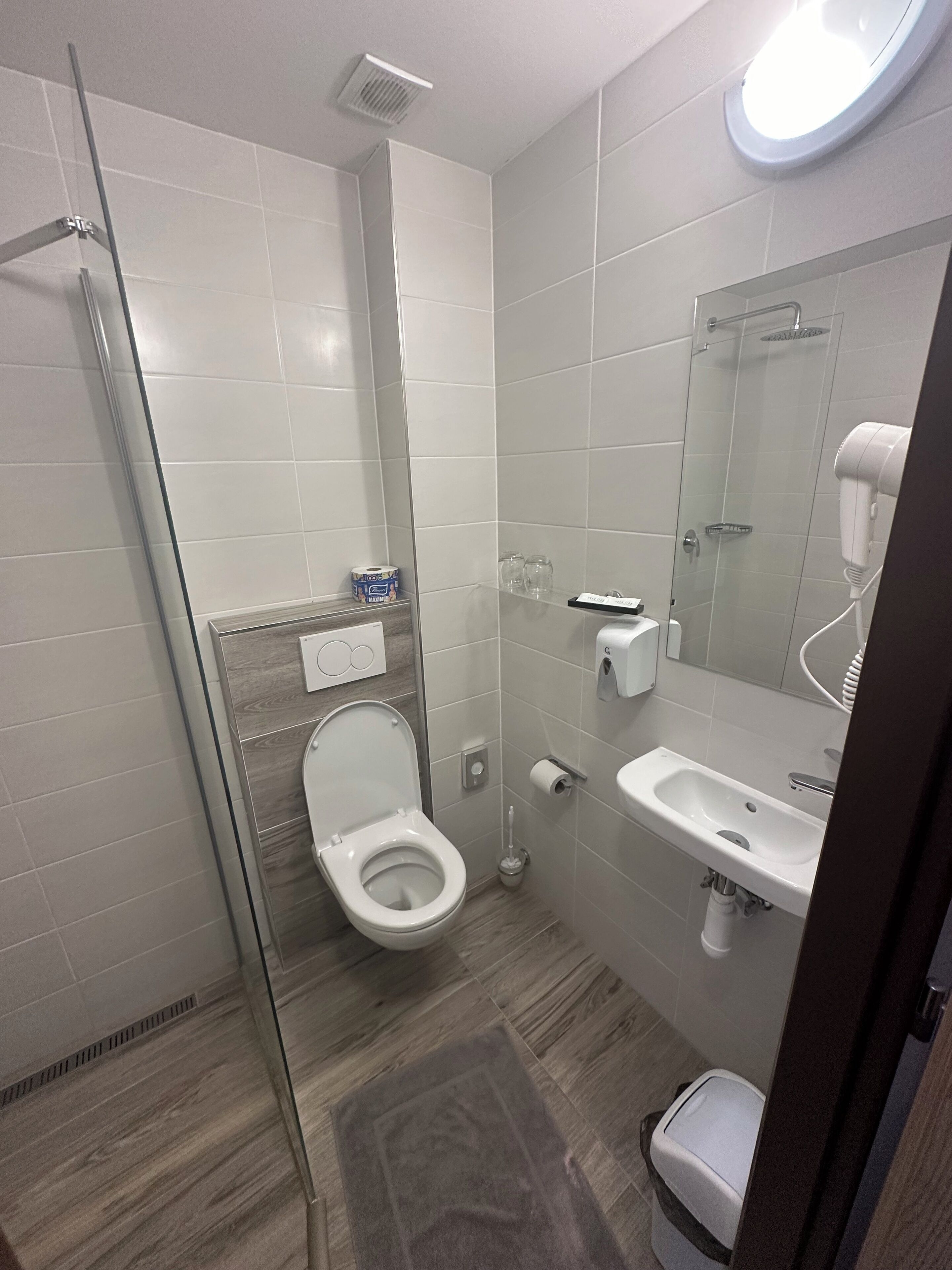 A modern bathroom with a glass shower enclosure, a toilet, a sink, and a hairdryer.