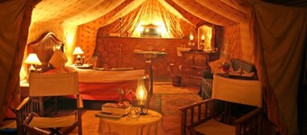 Reggie's Camel Camps