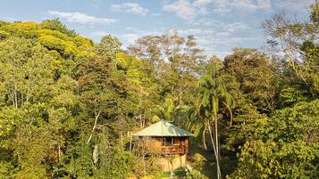 A wooden house with a green roof nestled among dense forest.