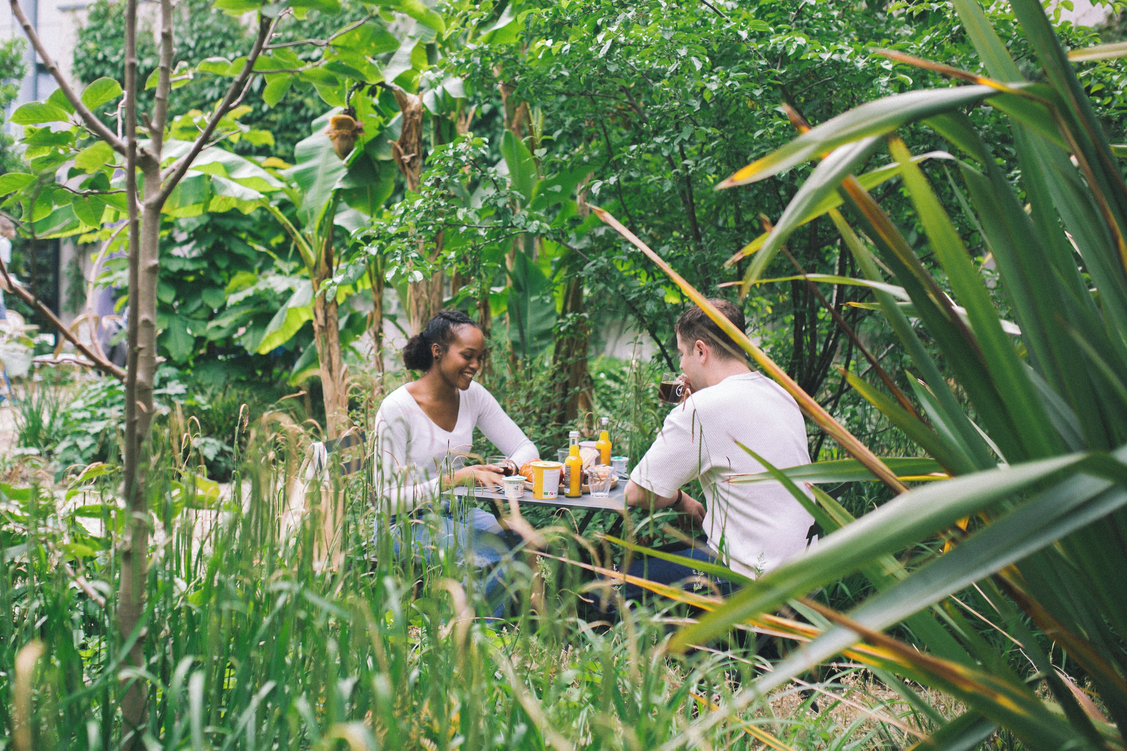 daily continental breakfast for a fee
