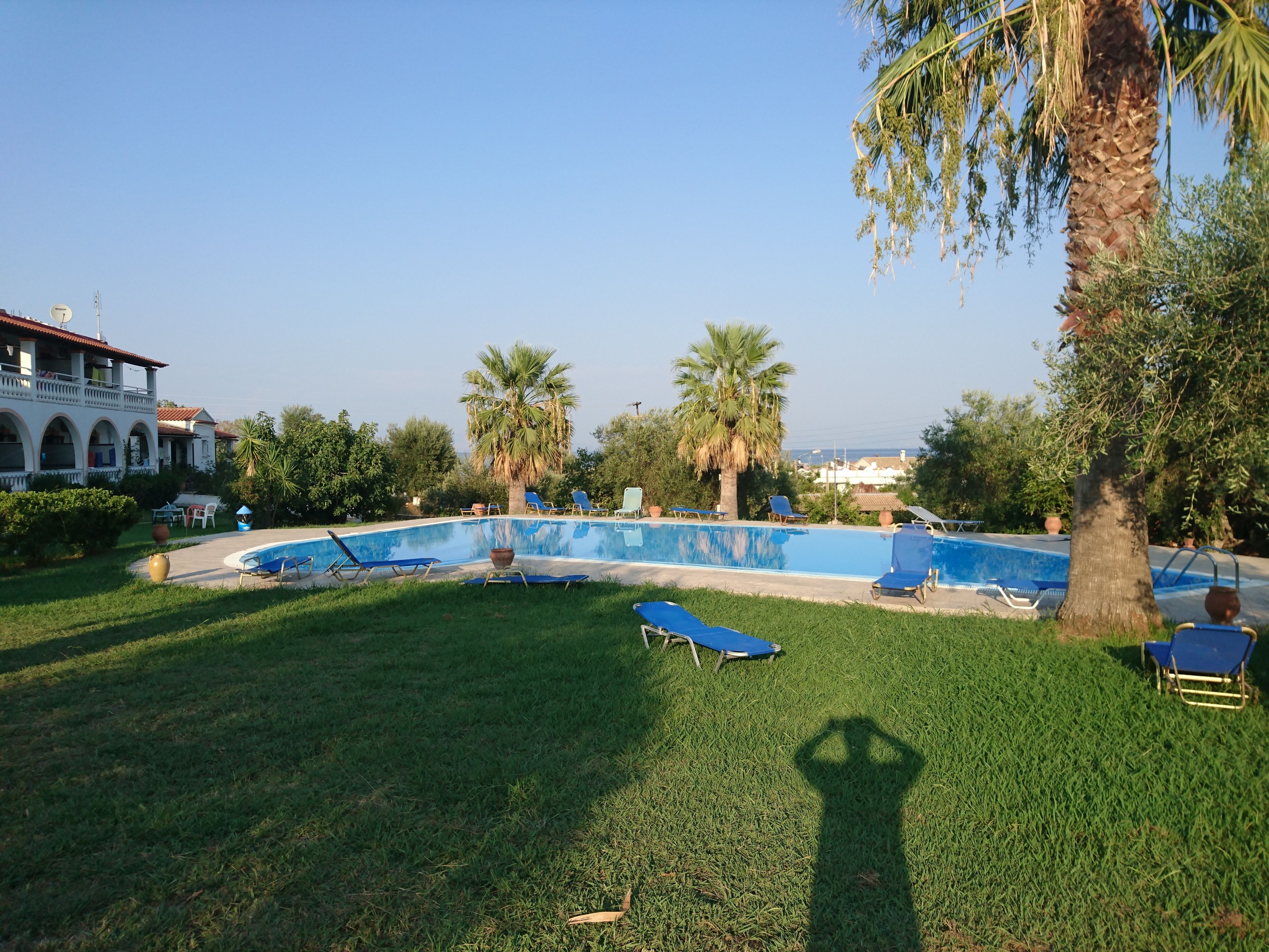 A swimming pool with lounge chairs, palm trees, and a building in the background.