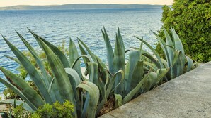 A coastal landscape with agave plants and a view of the sea. - Villa Lola (Okrug)