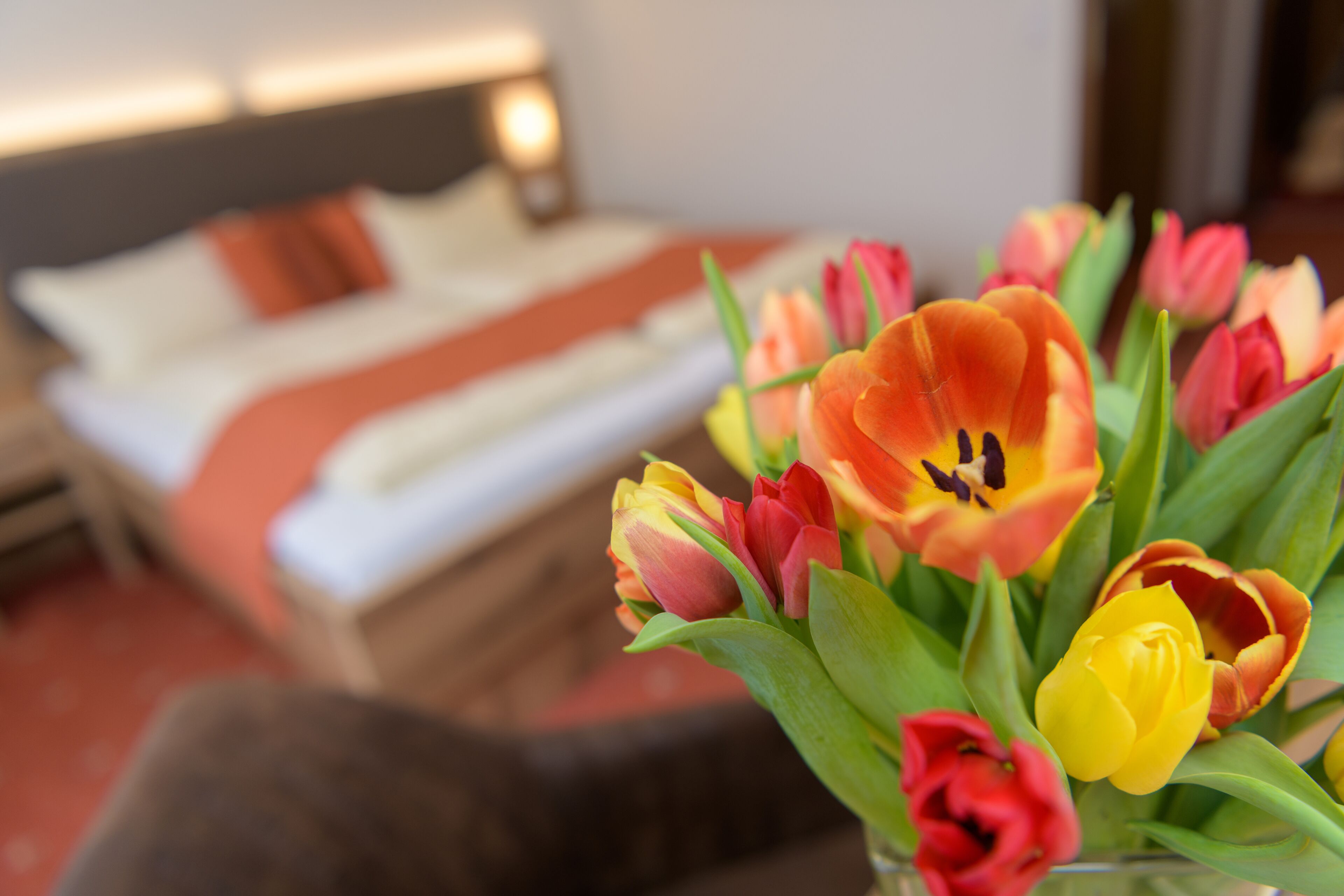 comfort double room | 1 bedroom, desk, blackout curtains, free wifi