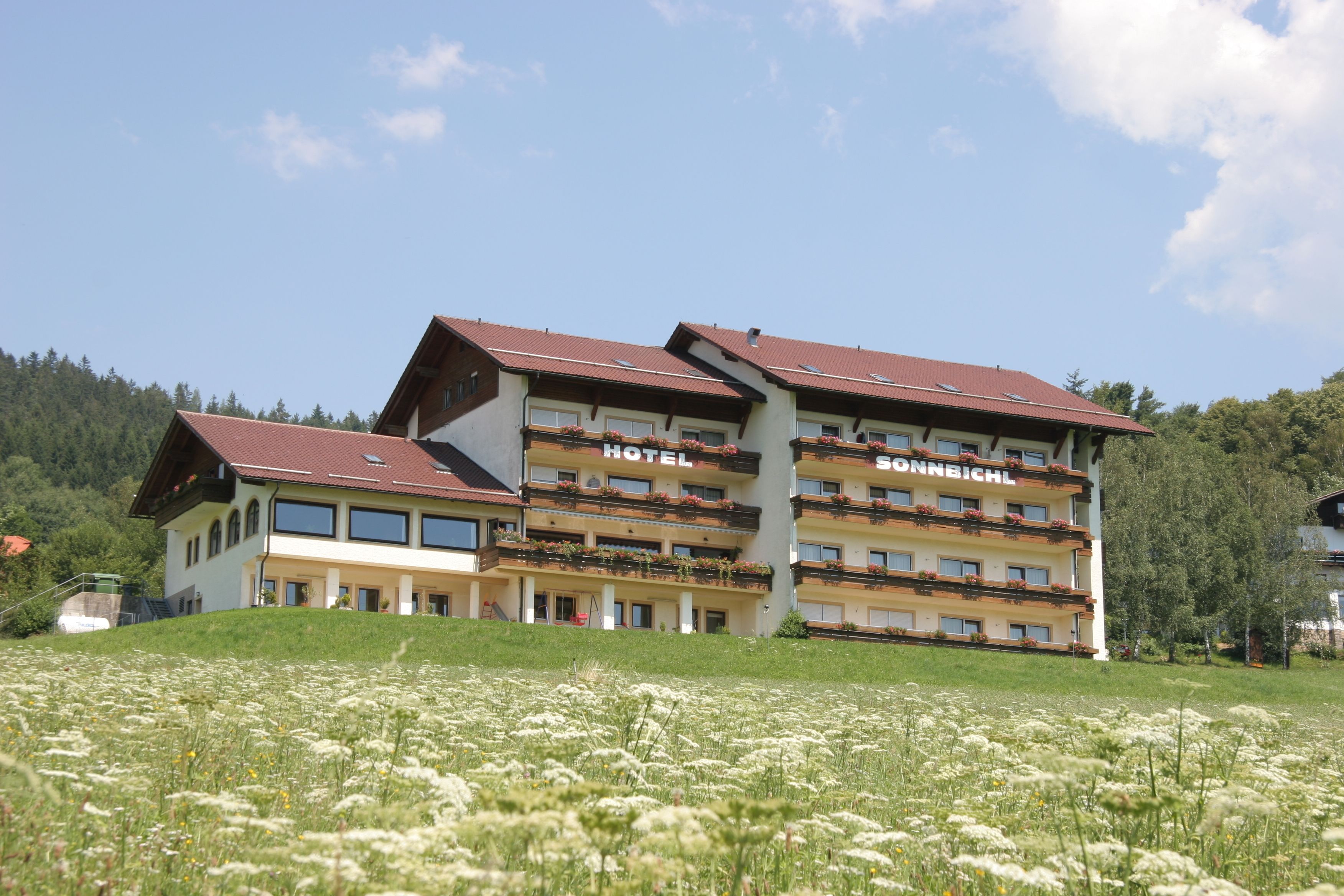 Un hotel de varios pisos con balcones, situado en una colina con un campo de flores blancas al frente.